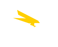 Place Agnico Eagle